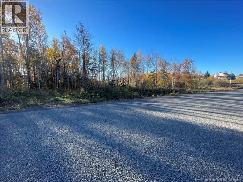 Lot 20-1 Roy Scenic Drive — photo 2 of 3