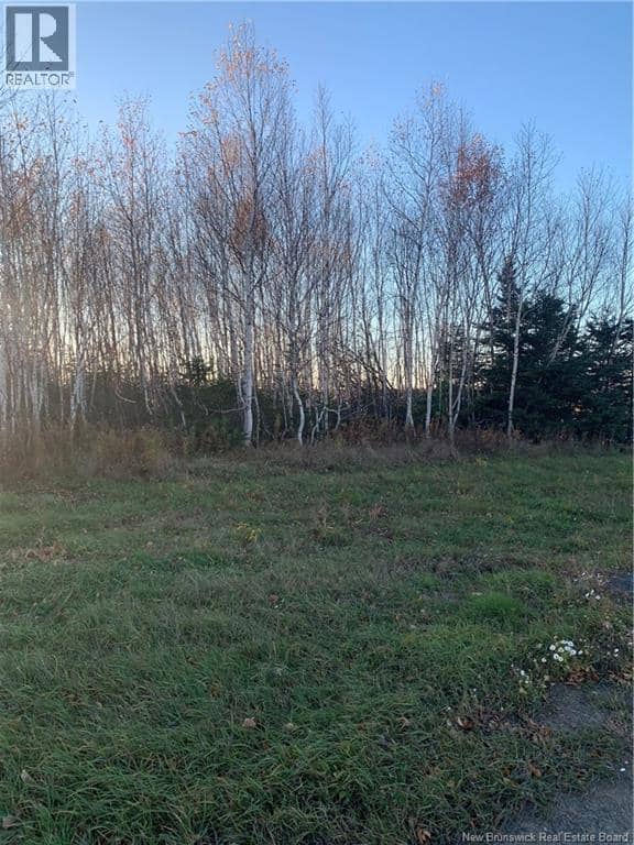Terrain 0,28 Acres Route 135 — photo 2 of 5