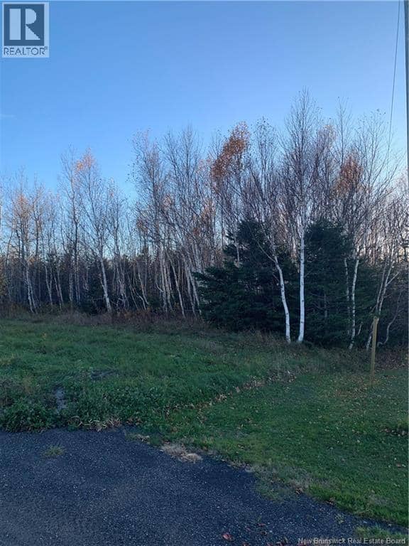Terrain 0,28 Acres Route 135 — photo 5 of 5