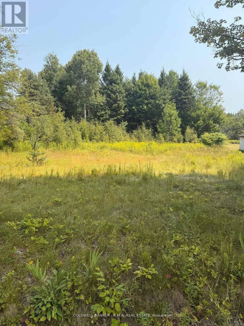3995 Boulter Road — photo 1 of 5