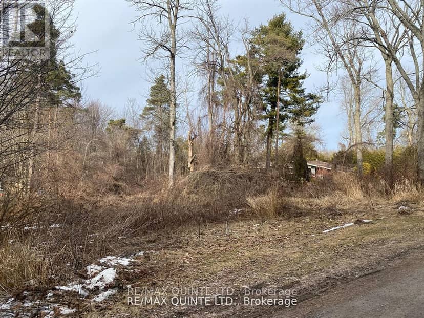 149 Evergreen Lane — photo 4 of 7