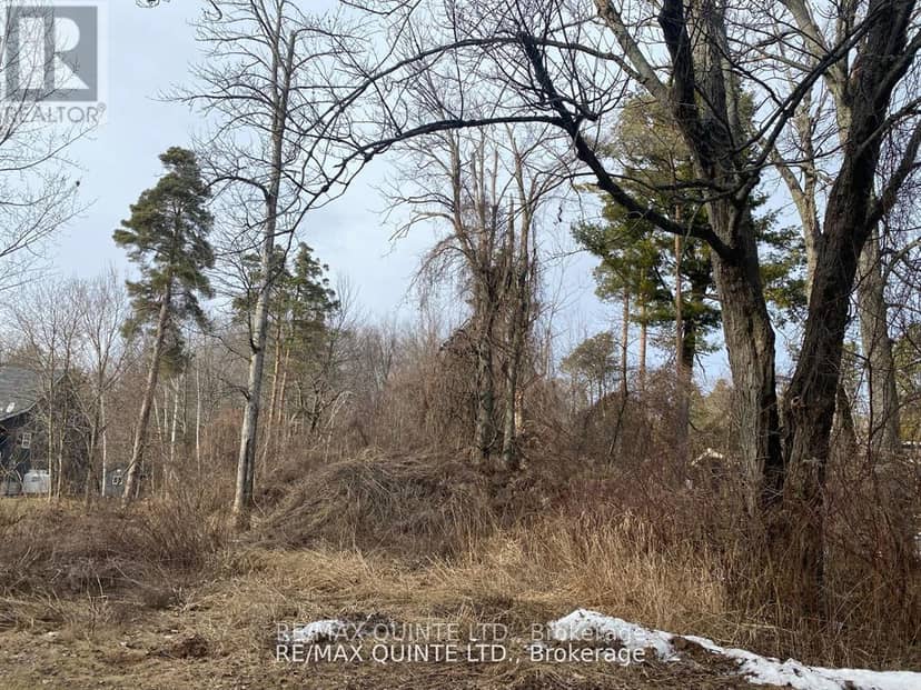 149 Evergreen Lane — photo 6 of 7