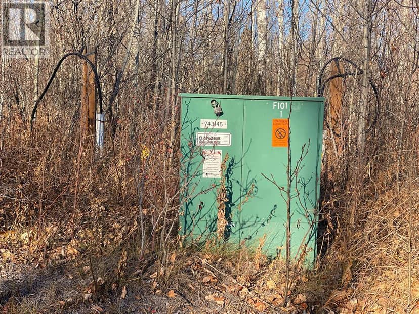 223 Range, Rural Northern Lights, County of, photo 8