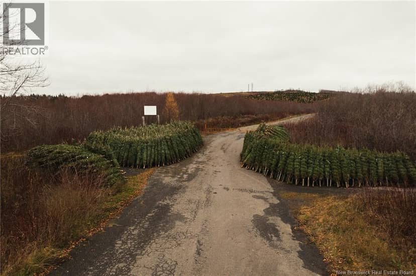 Lot Route 144 Road — photo 1 of 10