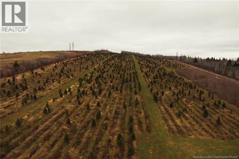 Lot Route 144 Road — photo 3 of 10