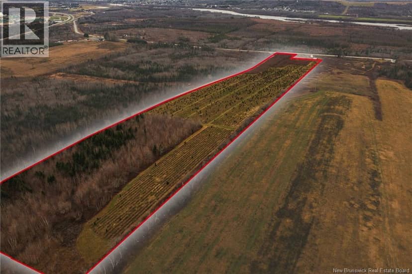 Lot Route 144 Road — photo 5 of 10