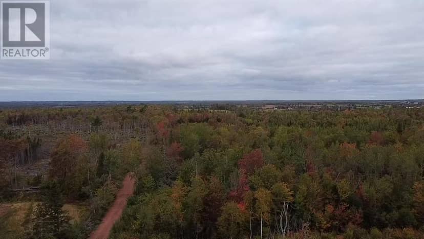 Acreage Bethel Road — photo 4 of 7