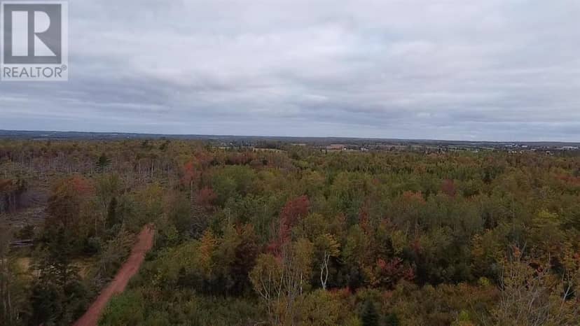 Acreage Bethel Road — photo 6 of 7