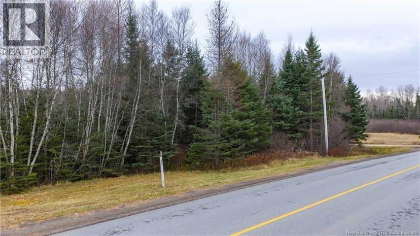 Lot 2019-1 Route 121 — photo 15 of 18