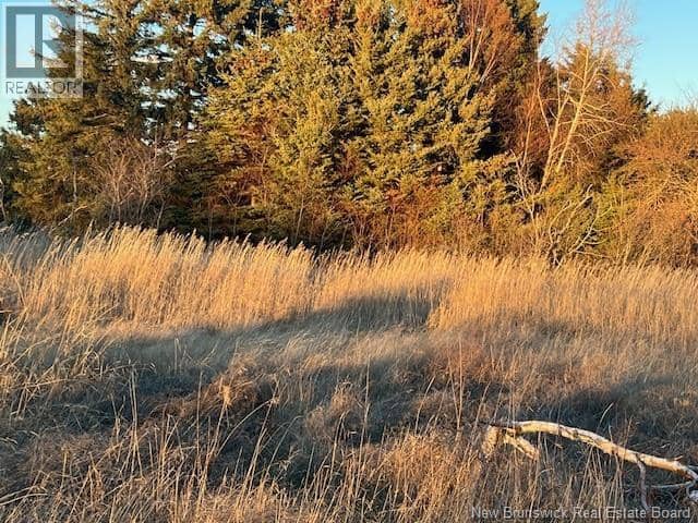 Lot Rue Principale, Tracadie, photo 4
