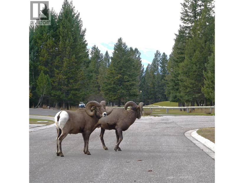 900 Bighorn Boulevard Unit# 931 Lot# 154, Radium Hot Springs, photo 4