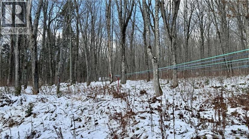 NA Woods Road — photo 19 of 25