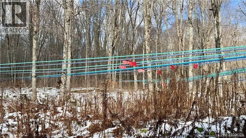 NA Woods Road — photo 1 of 25