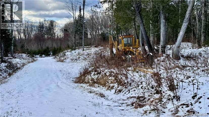 NA Woods Road — photo 22 of 25