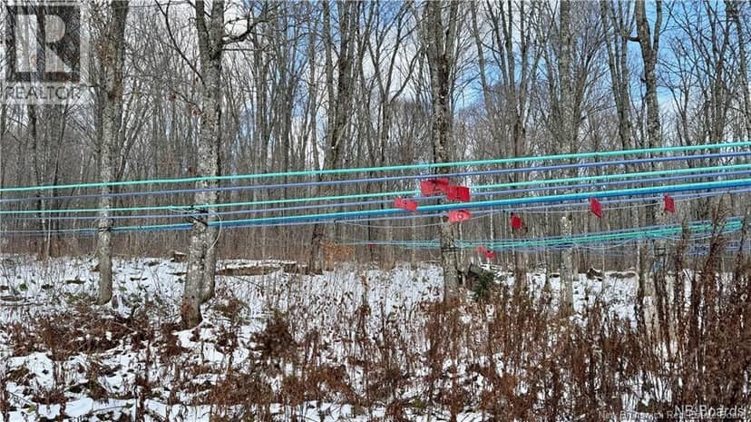 NA Woods Road — photo 25 of 25
