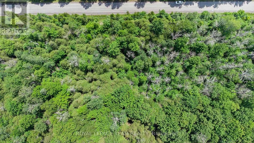 L2-3575 Paden Road — photo 11 of 19