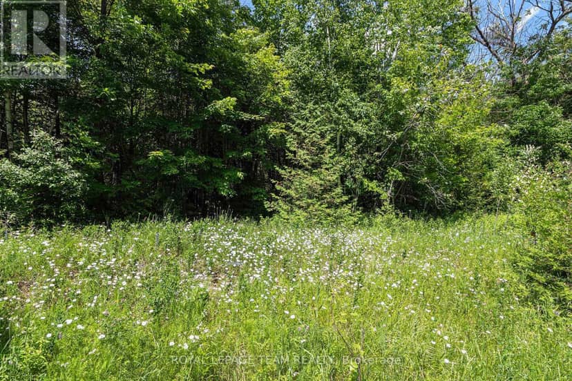 L2-3575 Paden Road — photo 4 of 19