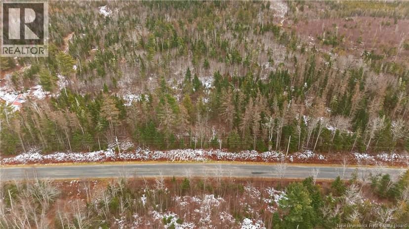 000 Lynnfield Road, Oak Hill, photo 5