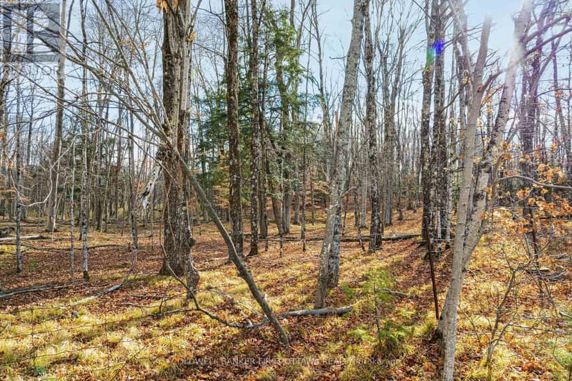 Pt 2-00 Herron Mills Road, Lanark Highlands, photo 5