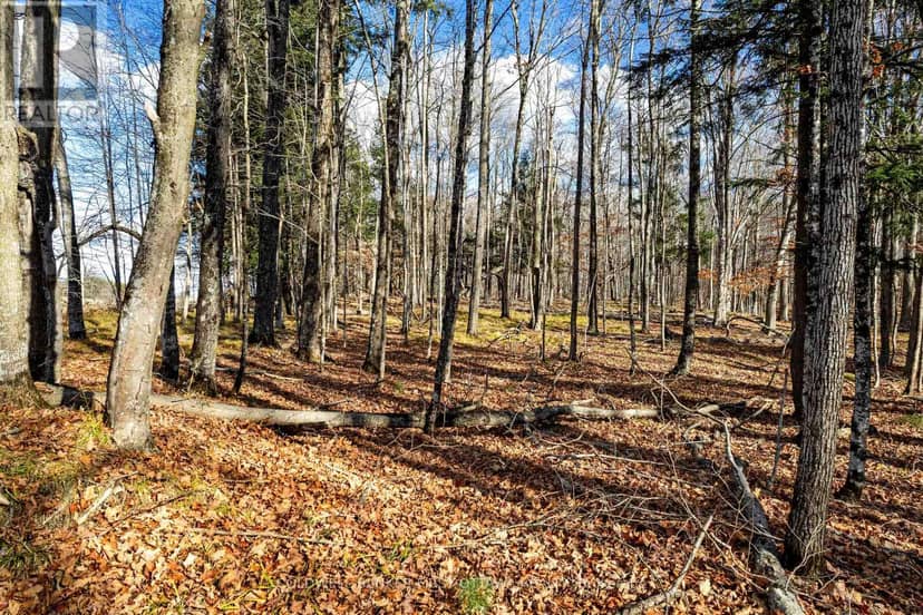Pt 3-00 Herron Mills Road — photo 4 of 11