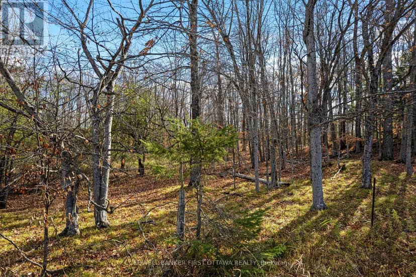 Pt 3-00 Herron Mills Road — photo 5 of 11
