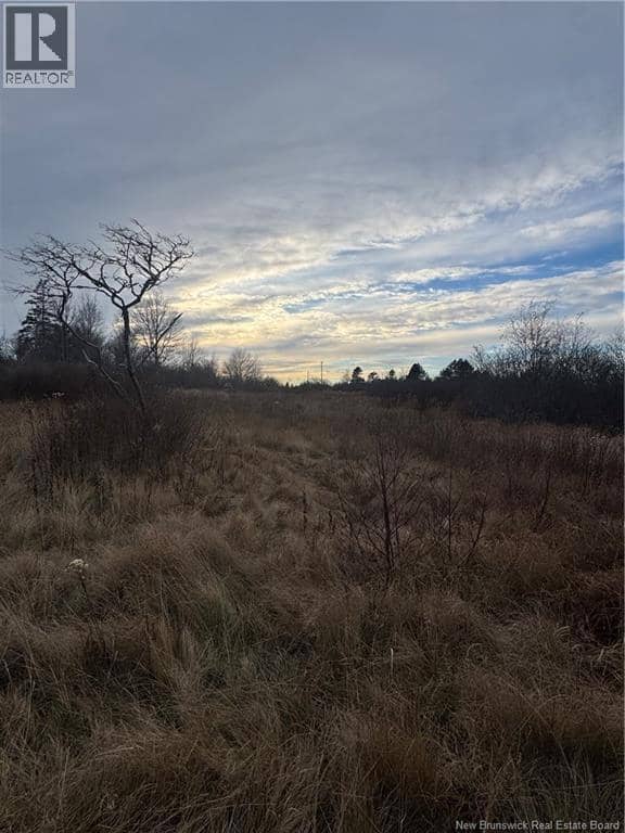 16 SHILOH Road — photo 7 of 23