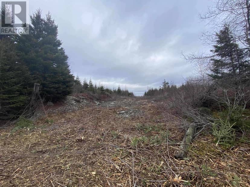 Lot 22 & 23 Trafalgar Rd Highway 374, Sheet Harbour, photo 2