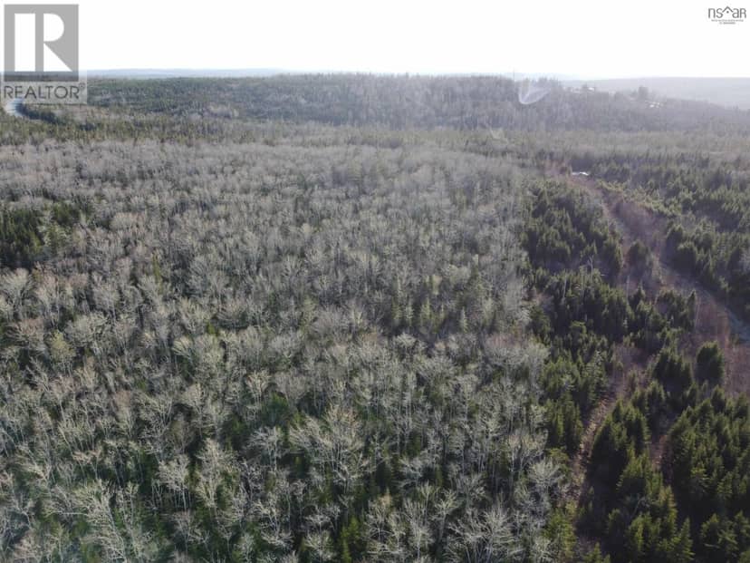 Lot 22 & 23 Trafalgar Rd Highway 374 — photo 10 of 12
