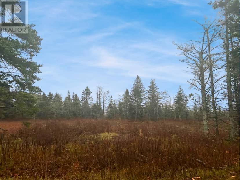 Lot Route 336 — photo 3 of 7