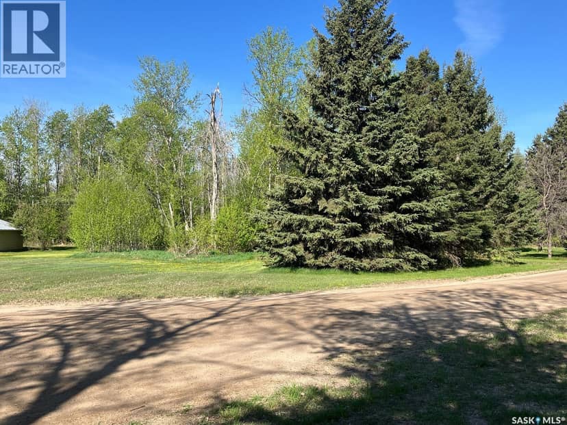 120 Seymour STREET, Nipawin, photo 4