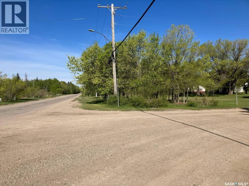 100-104 Princess STREET, Nipawin, photo 4