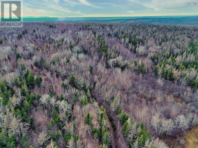 Maceachern Road, Judique North, photo 4