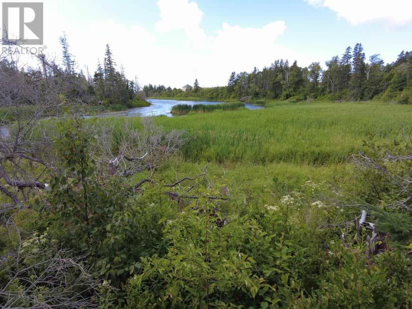 Acreage Rte 2, St. Peter's, photo 5