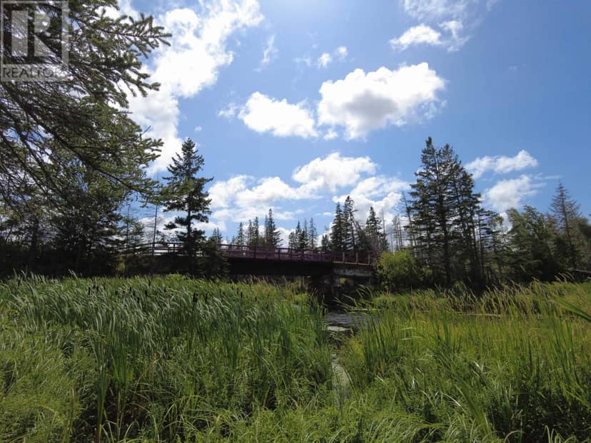 Acreage Rte 2, St. Peter's, photo 6