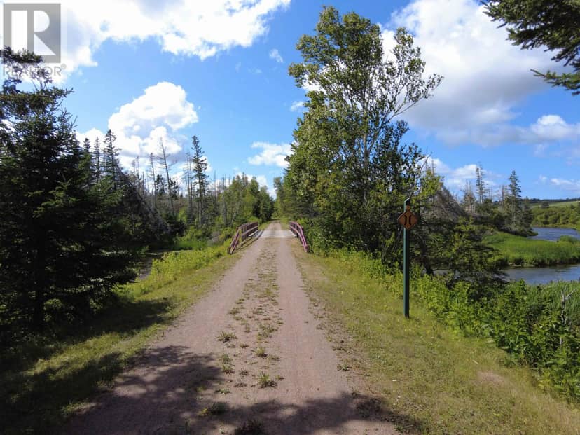 Acreage Rte 2, St. Peter's, photo 7