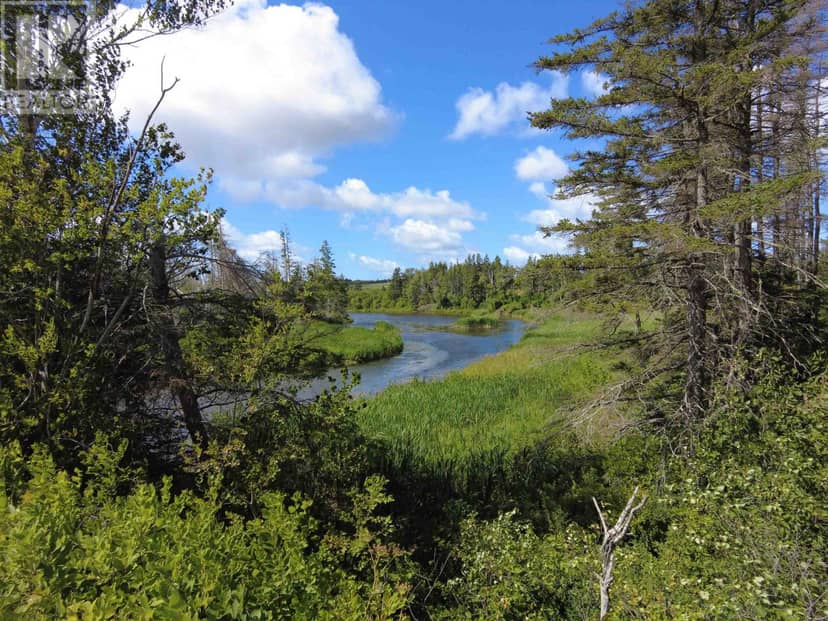 Acreage Rte 2, St. Peter's, photo 8
