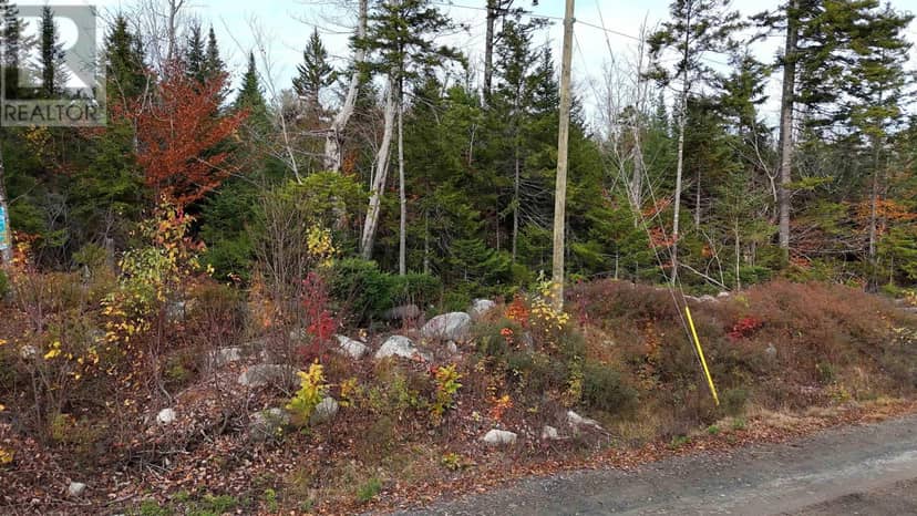 Lot 24 Russells Cove Road — photo 21 of 31