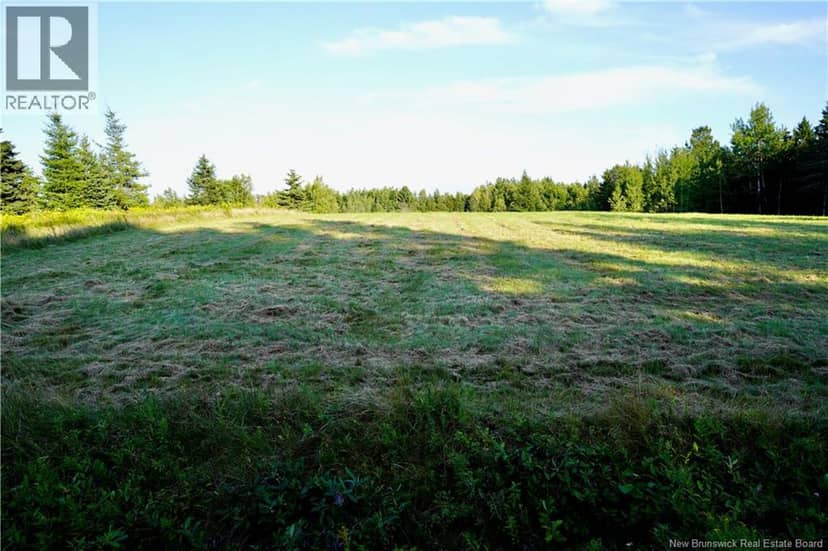 Lot Hesler — photo 7 of 17