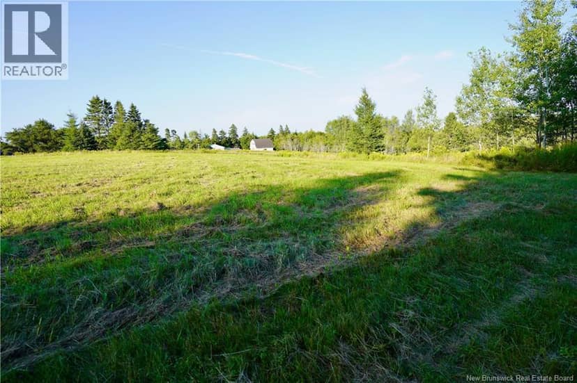 Lot Hesler — photo 11 of 17