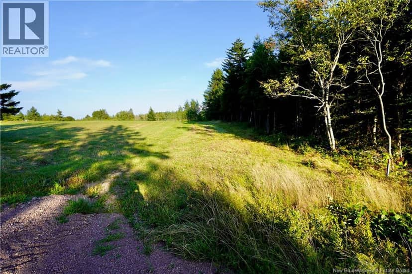 Lot Hesler — photo 3 of 17