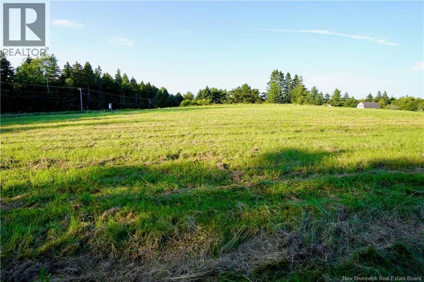 Lot Hesler — photo 10 of 17