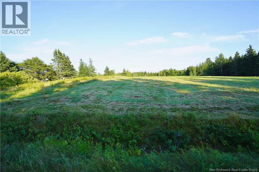 Lot Hesler — photo 1 of 17