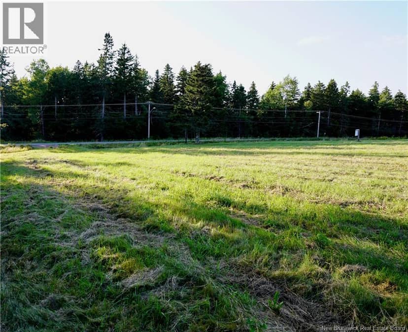 Lot Hesler — photo 9 of 17
