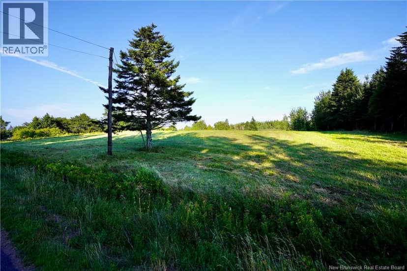 Lot Hesler — photo 4 of 17