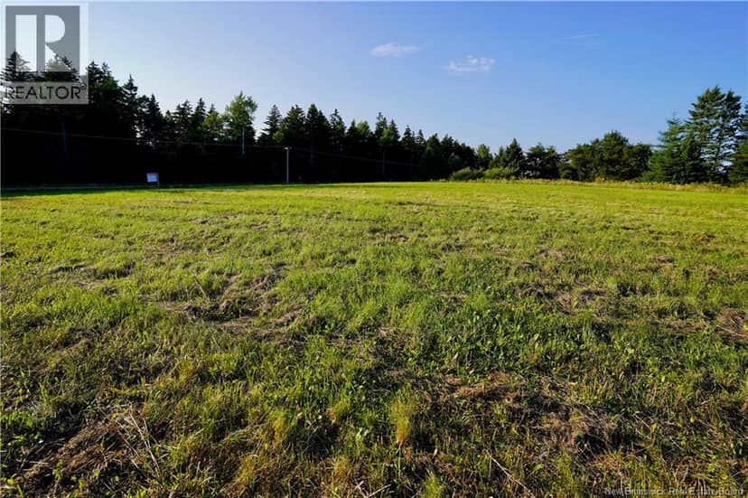 Lot Hesler — photo 12 of 17