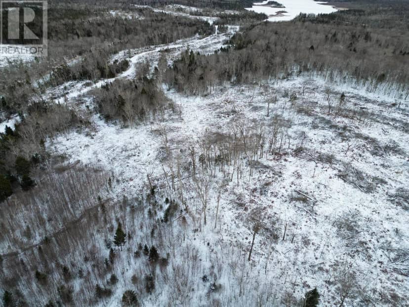 Lot Hectanooga Road, Mayflower, photo 4