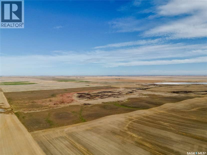 1 Quarter Near Gravelbourg, SK (Laflamme) — photo 6 of 8