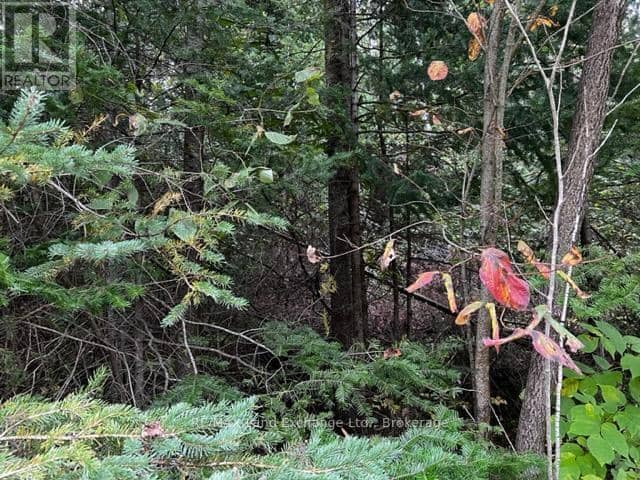 5 Shore Road — photo 4 of 12