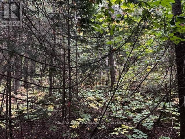 5 Shore Road — photo 8 of 12