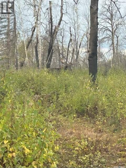 Reaume Hunting Shack — photo 10 of 15